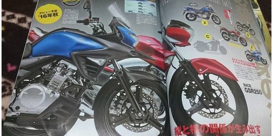 Inikah wujud dari Suzuki V-Strom 250?