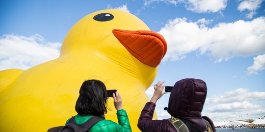 Mama Duck, si bebek karet raksasa mampir di festival tiram AS