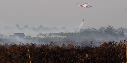 Ada sepuluh perusahaan yang terbukti bakar hutan di Sumsel & Riau