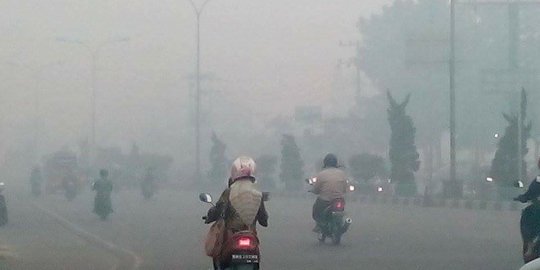 PT PLM asal Singapura di Inhu tersangka kebakaran hutan dan lahan