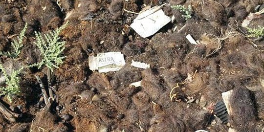 Anggota ISIS cukur jenggot nyamar jadi wanita buat kabur dari Suriah