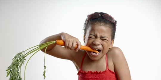 suka makan tirai jendela benang dan plester dinding rev6