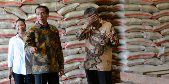 Presiden Jokowi menyerah, siap impor beras dari Vietnam akhir 2015