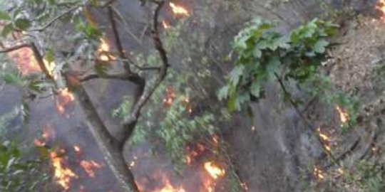 Gara-gara puntung rokok, hutan di Gunung Muria terbakar