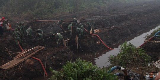 TNI sudah bertaruh nyawa buat padamkan kebakaran lahan