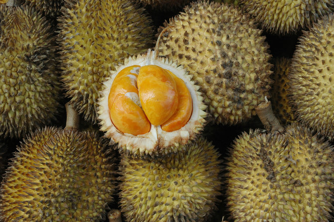 durian