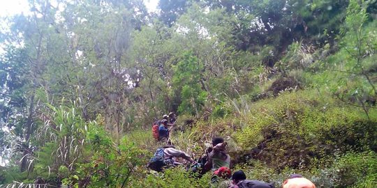 10 Hektare hutan Gunung Semeru terbakar, jalur pendakian ditutup