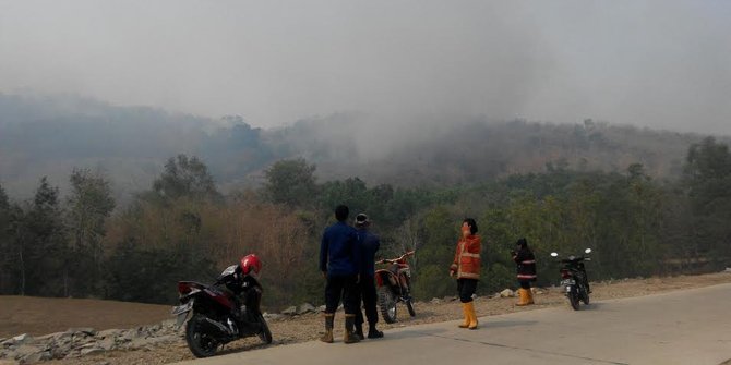 Diduga akibat puntung rokok, 20 hektar lahan di Purwakarta terbakar