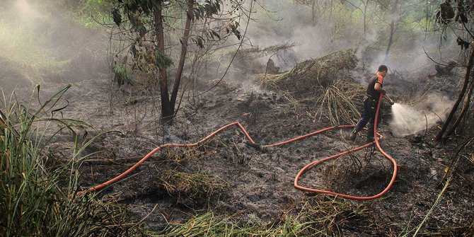 Sejak 2010, Pemprov Kalteng izinkan buka lahan dengan bakar hutan