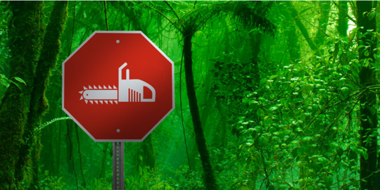 Ponsel jadul ternyata bisa cegah kerusakan hutan, ini buktinya!