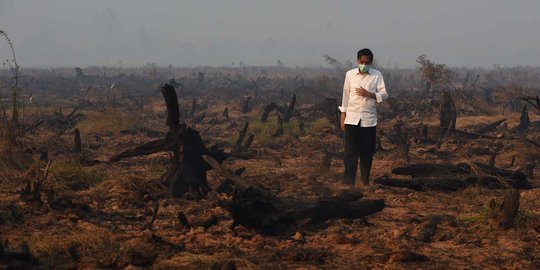 Mereka kewalahan padamkan kebakaran hutan di Indonesia