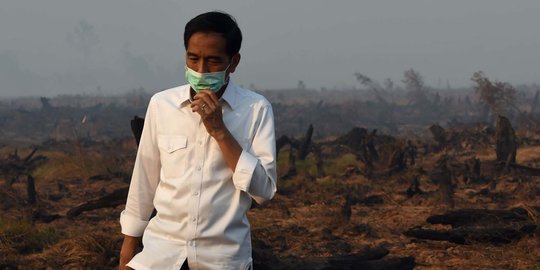 Sempat menolak, kini pemerintah malah cari bantuan padamkan hutan