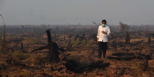 Jokowi diminta buka identitas bos perusahaan pembakar lahan
