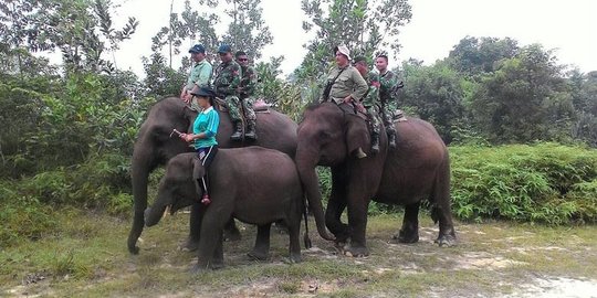 Pantau kebakaran hutan, prajurit Kostrad patroli naik gajah