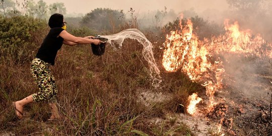Frustrasi kebakaran hutan, pemerintah pasrah berharap pada hujan