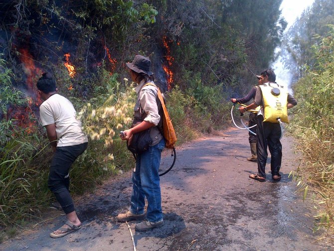 gunung semeru kebakaran