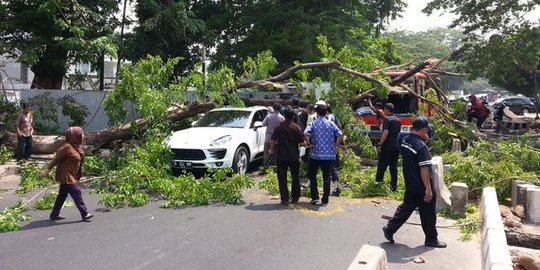 Siang bolong pohon tumbang timpa Porsche dan metromini di depan RSCM