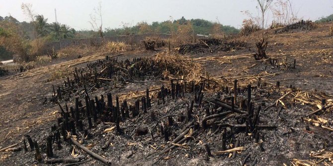 Bupati Dedi anggarkan Rp 10 miliar beli lahan warga yang terbakar