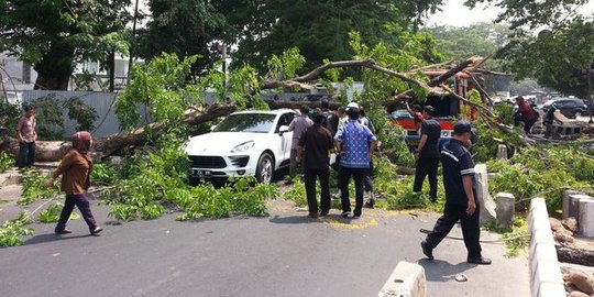 Ini kronologi pohon tumbang timpa Porsche dan bus kota di depan RSCM