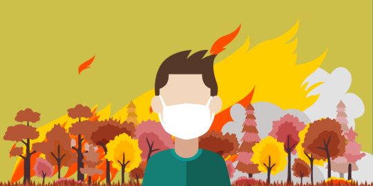 Pansus asap akan ungkap dalang pembakar hutan penyebab kabut asap