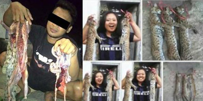 54 Gambar Binatang Yang Dilindungi Di Indonesia HD