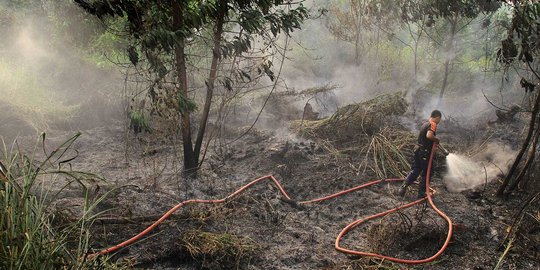 Hutan terbakar di Sumatera dan Kalimantan capai 1,7 juta hektar