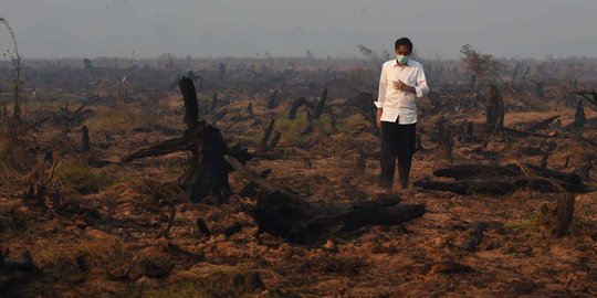 Empat bulan, hutan & lahan yang terbakar setara 32 kali luas Jakarta