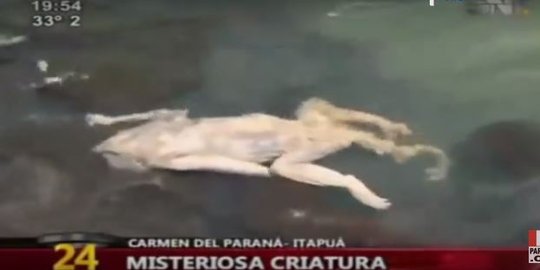 [Video] Sosok dianggap vampir ditemukan mati di Paraguay