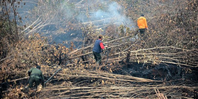 Melihat lebih dekat pemadaman kebakaran hutan Palangkaraya
