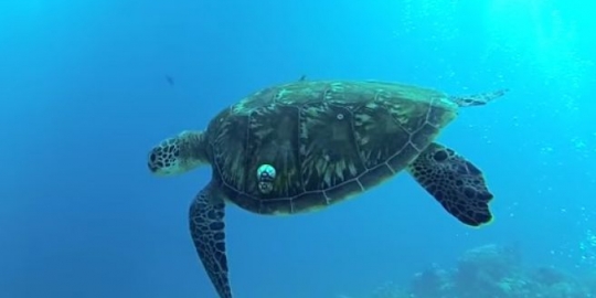 Indahnya panorama Lombok dalam video bule Prancis, bikin pengen piknik