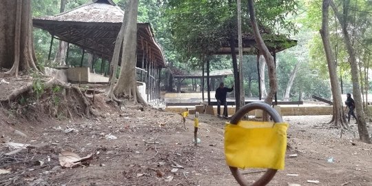 Mengunjungi wisata arena adu domba di hutan Kota Bandung