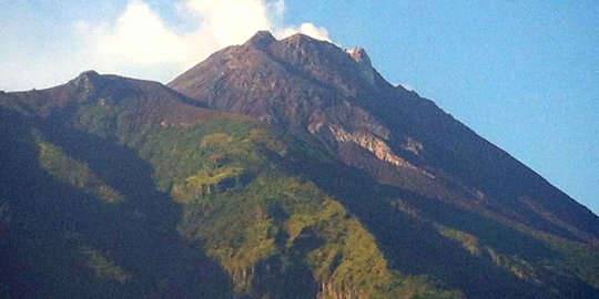 Hutan Gunung Merapi terbakar, pendaki dievakuasi