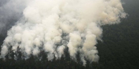 Titik api di Sumsel melonjak jadi 242 titik