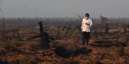 Atasi kebakaran hutan, Jokowi panggil ahli gambut UGM ke Istana