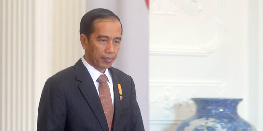 Tim Pokja UGM temui Jokowi beri masukan soal lahan gambut