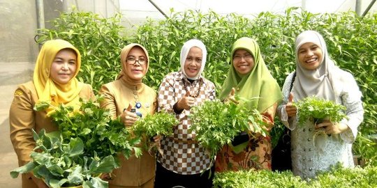 Program Kampung Berkebun semakin berkembang di Bandung