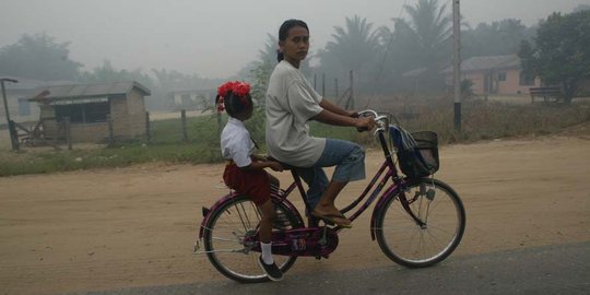 Ini pembagian tugas para menteri yang tangani kabut asap