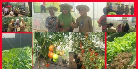 Tahun depan seluruh kecamatan di Bandung punya greenhouse