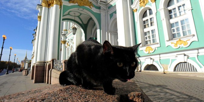 Intip aksi kucing-kucing penjaga museum di Rusia