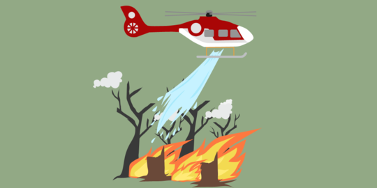 Pemilik Asian Agri kritik cara pemerintah padamkan kebakaran hutan