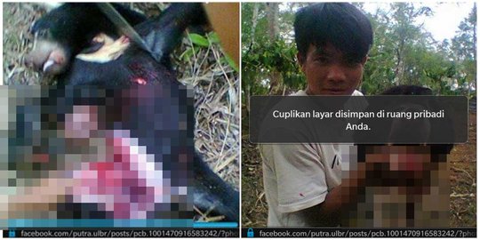 Foto Putra tersenyum usai sembelih beruang madu disebar ke medsos