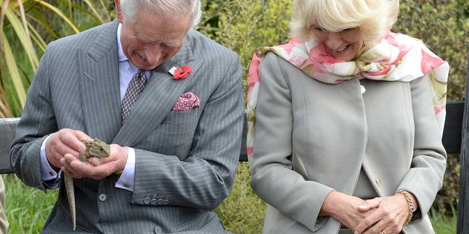 Melihat keasyikan Pangeran Charles bermain kadal