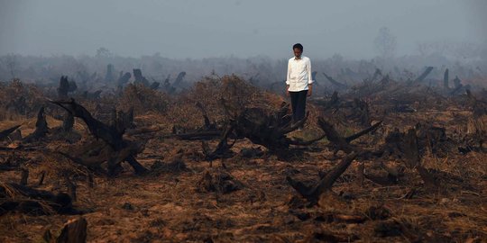 Pemerintah tak bisa tutupi perusahaan pembakar hutan