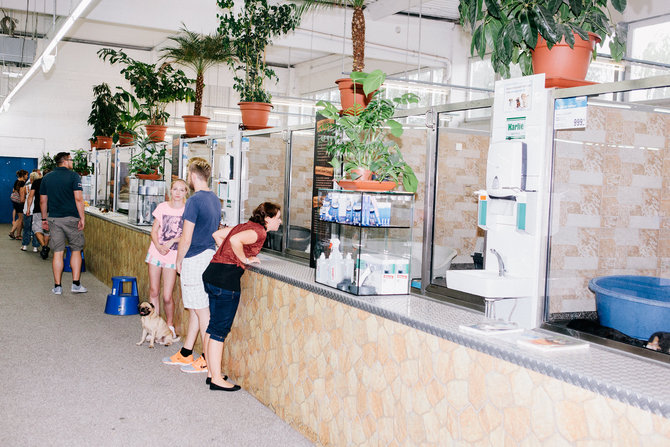 pet store terbesar di dunia