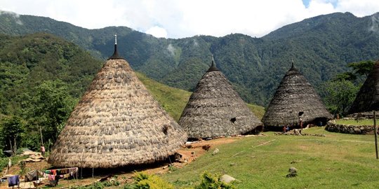 rebo ntt rev2