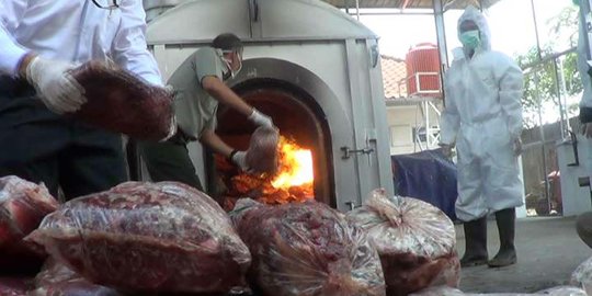 Delapan karung daging celeng ilegal dimusnahkan di Bandara Soetta