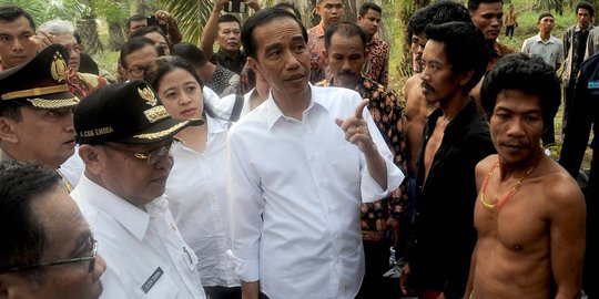 Sapi asal NTT ke Jakarta lemas, Jokowi resmikan kapal angkut ternak
