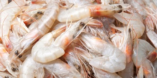 5 produk ri ini jadi primadona di luar negeri