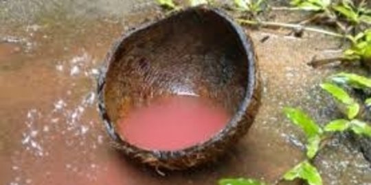 6 hujan paling aneh yang pernah terjadi di dunia