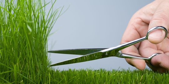 5 Cara hilangkan rambut kemaluan bebas dari rasa sakit